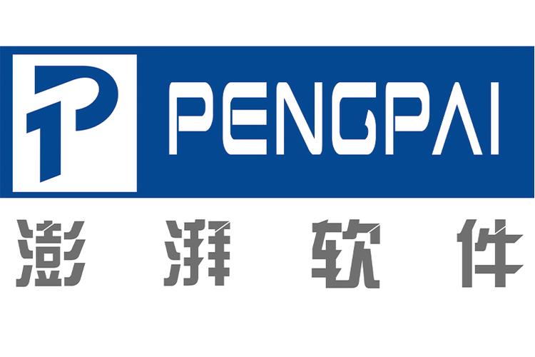开发;软件外包服务;人工智能基础软件开发;网络与信息安全软件开发